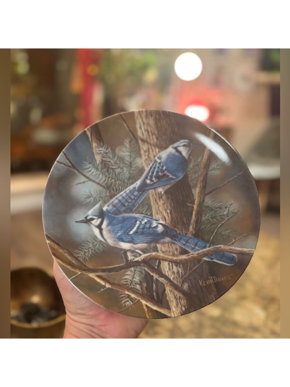 VINTAGE In "The Birds Of Your Garden" Collector Plate Kevin Daniel Blue Jays Art